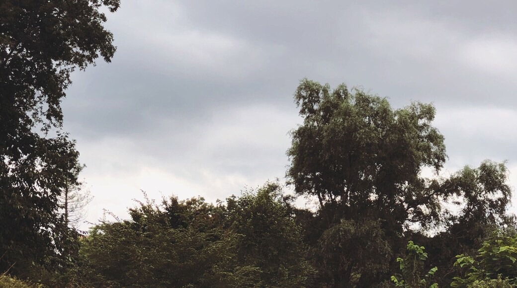 Pathways to wander. Secret Garden, Alice in Wonderland, or The Hobbit, your choice of daydreams.
#gardens #floral #newyork #university