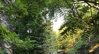 It’s hard to believe that this is Ithaca NY. It feels like Hawaii