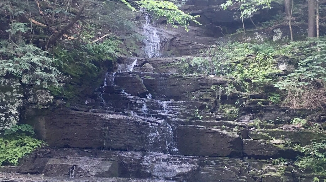 A hiking area in Ithaca, ny #waterfall