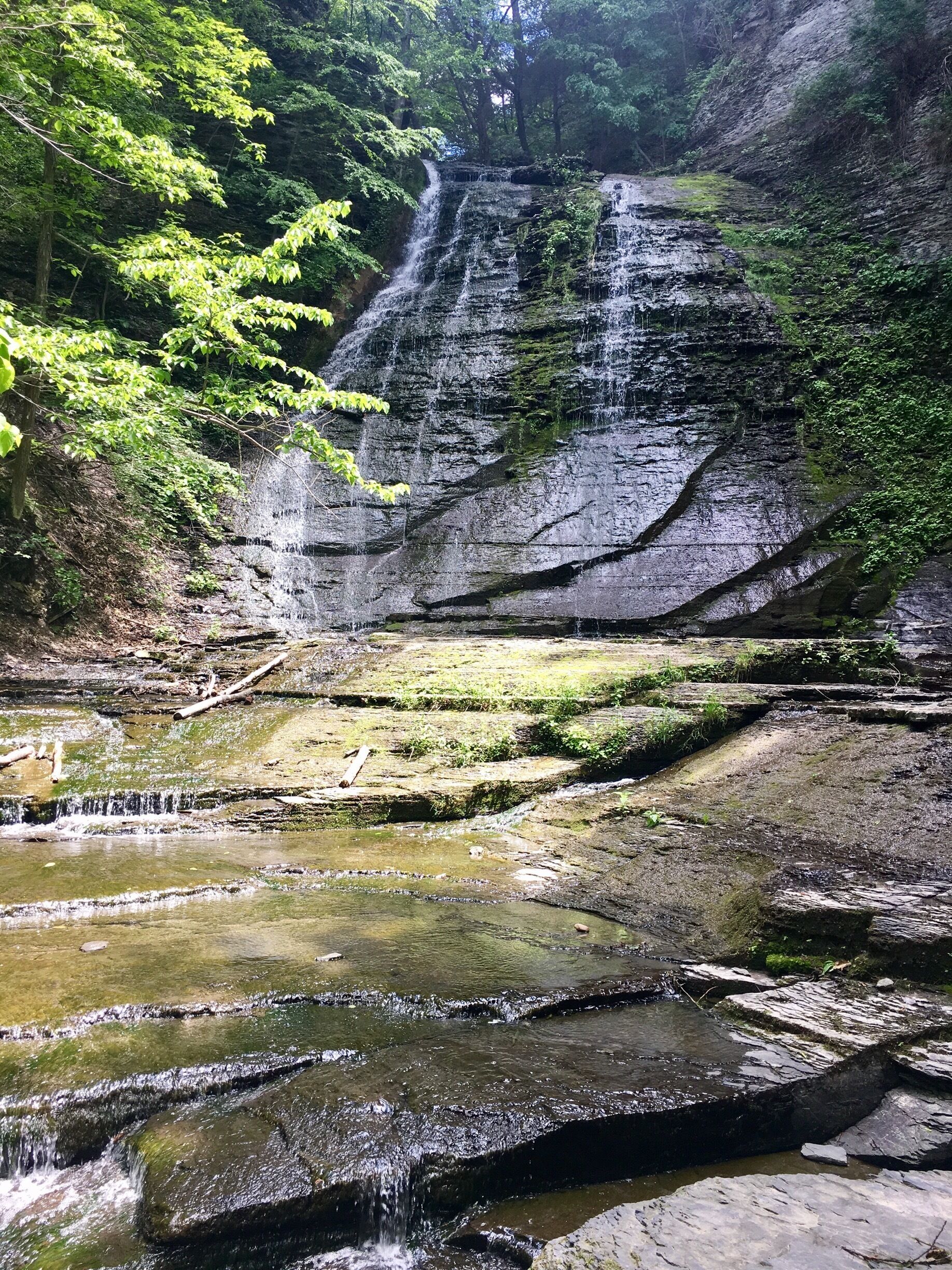 A waterfall cascading down a rocky cliff surrounded by lush greenery.