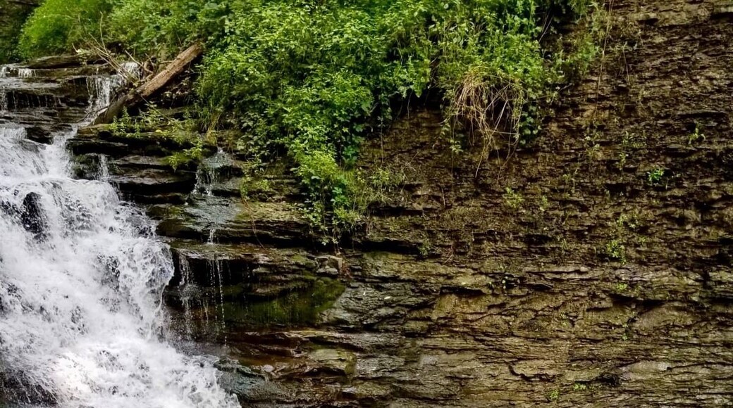 Every time I come to Ithaca it’s all about hiking