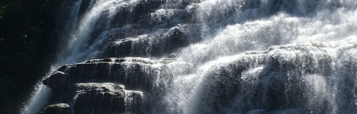Una cascada escalonada rodeada de exuberante follaje verde.