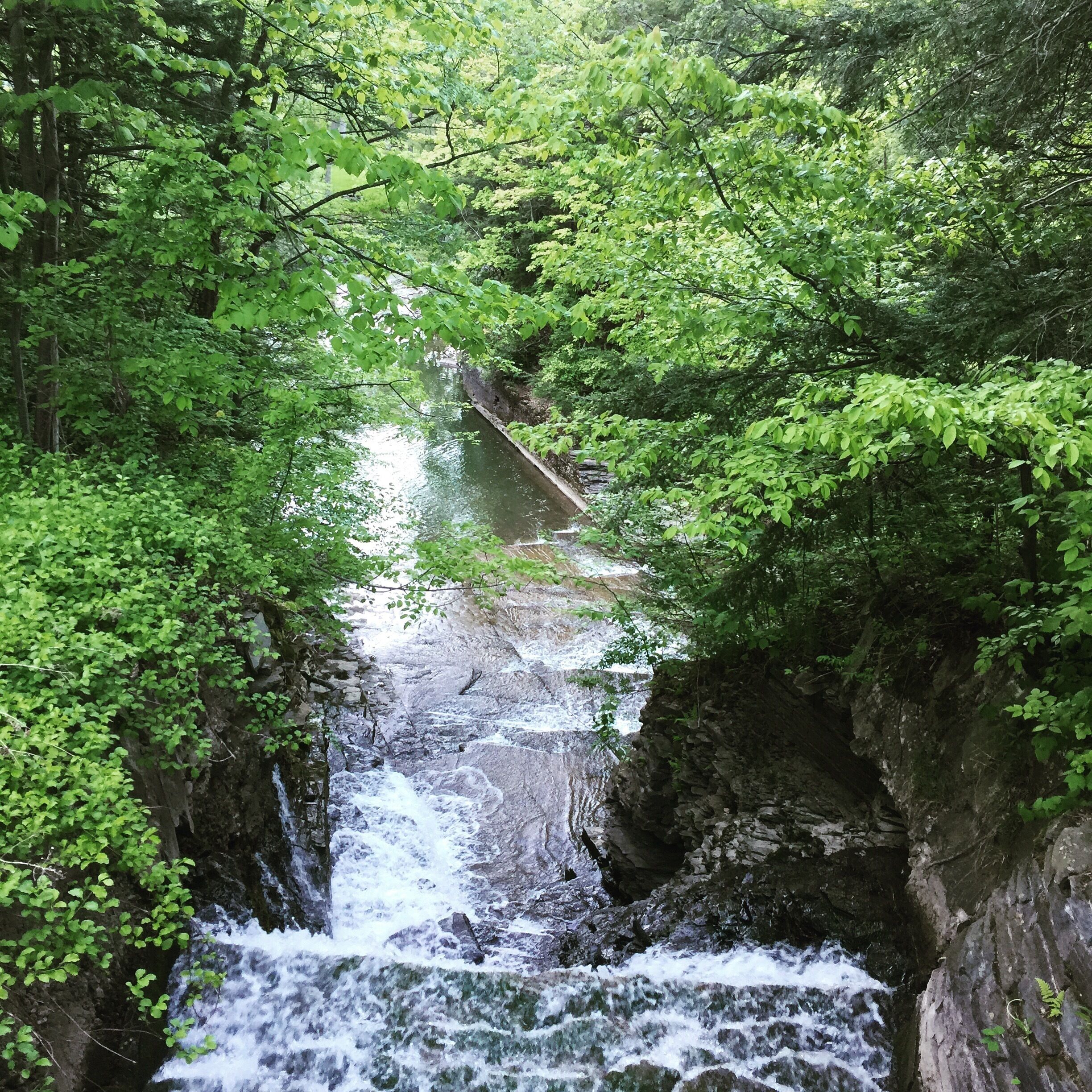 Another beauty upstate NY