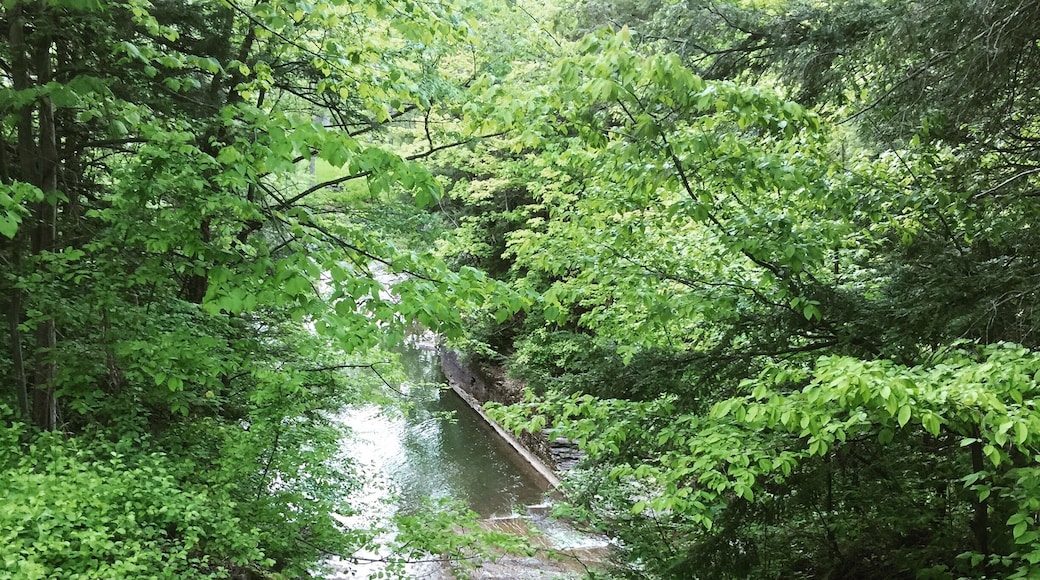 Another beauty upstate NY