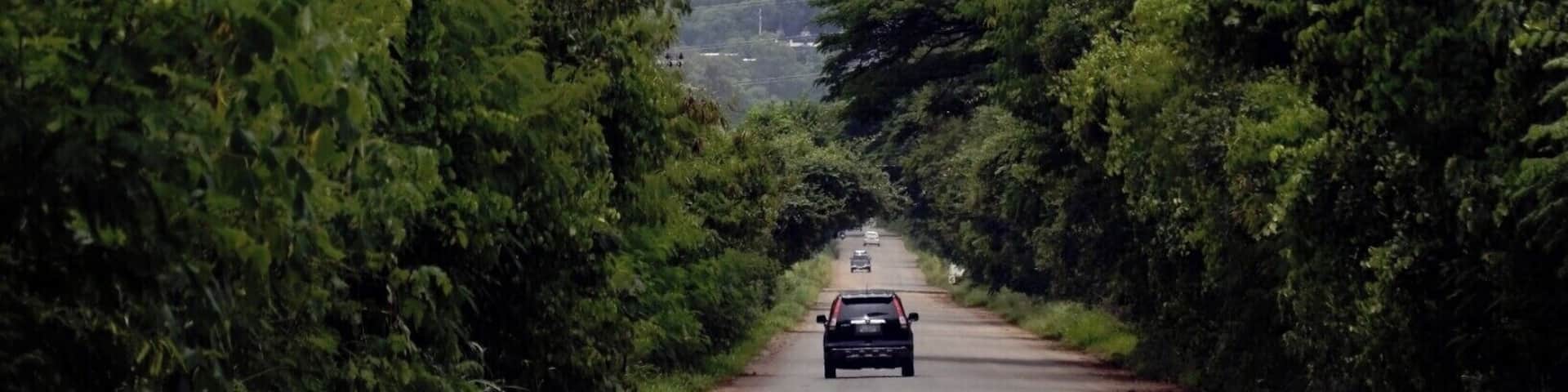 #PakChong #Temple #Thai #Travel
#Thailand #Backpacking #TravelPhotography
See you also on Instagram: ExploreWithSeba