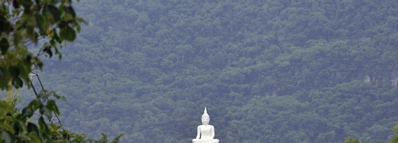 #PakChong #Temple #Thai #Travel
#Thailand #Backpacking #TravelPhotography
See you also on Instagram: ExploreWithSeba
