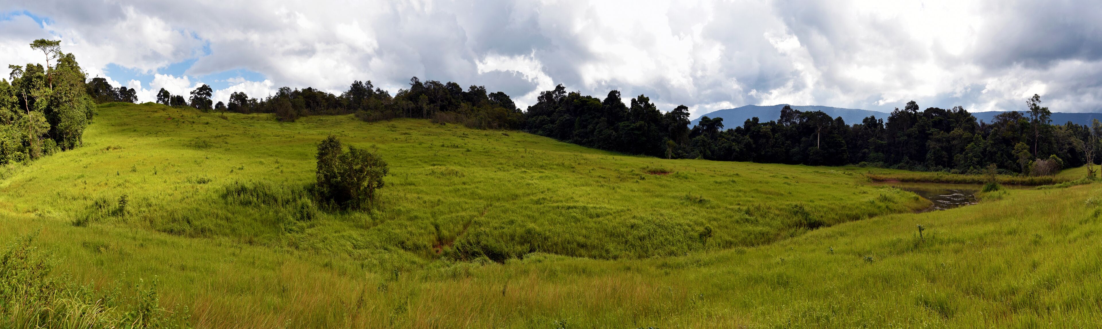 Nong Pak Chee grassland Panorama in Khao Yai National Park