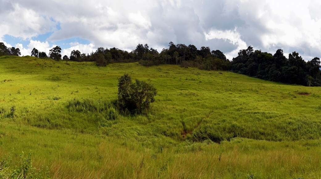 Nong Pak Chee grassland Panorama in Khao Yai National Park