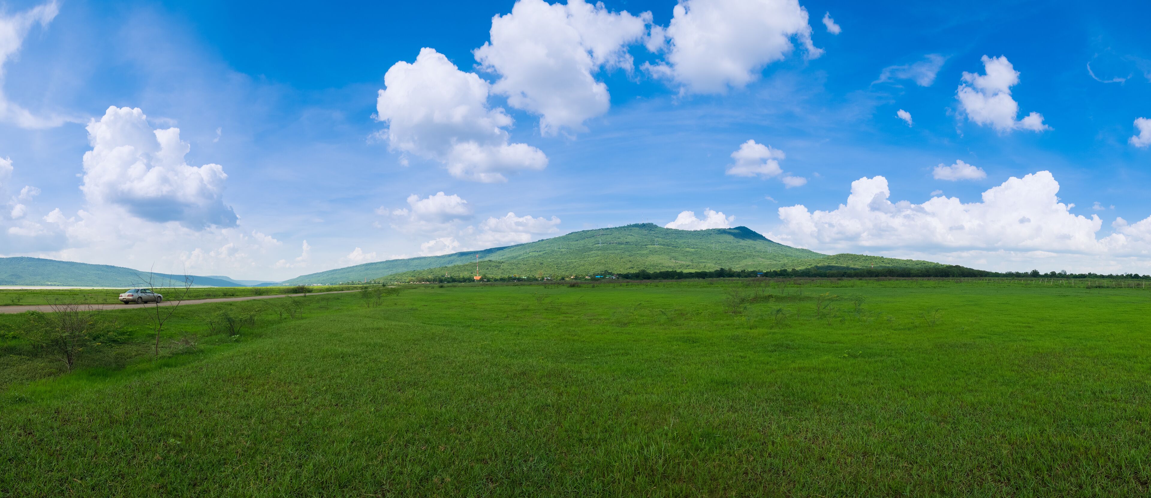 Green grass Field Meadow with Mountain of Khao Yai Thiang