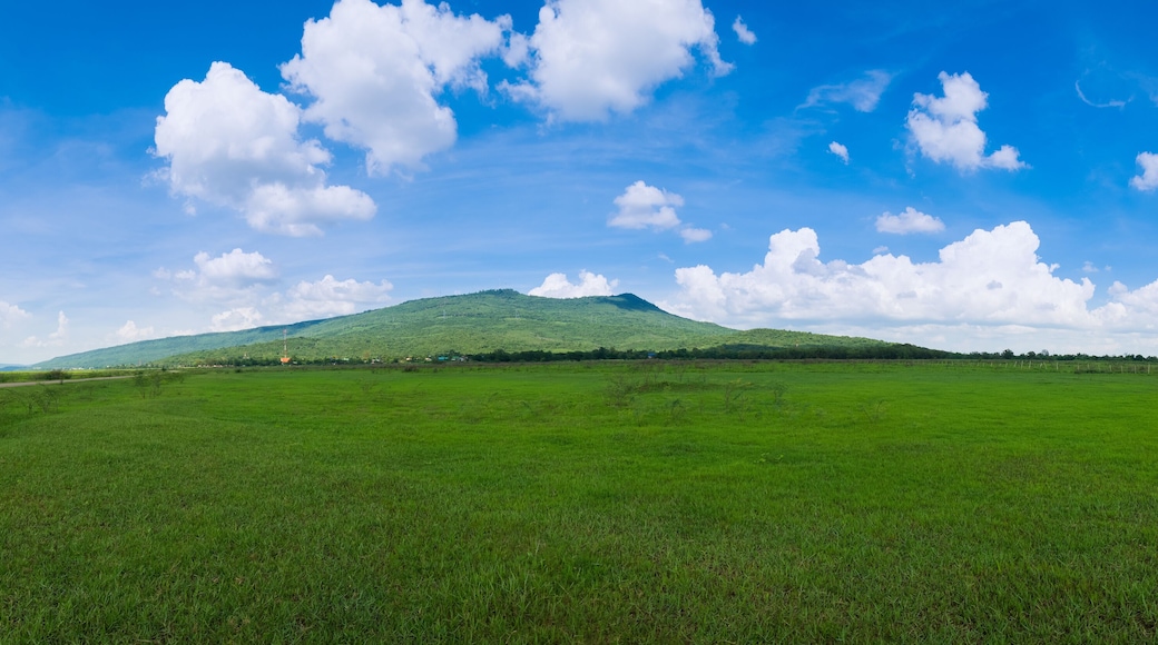 Green grass Field Meadow with Mountain of Khao Yai Thiang