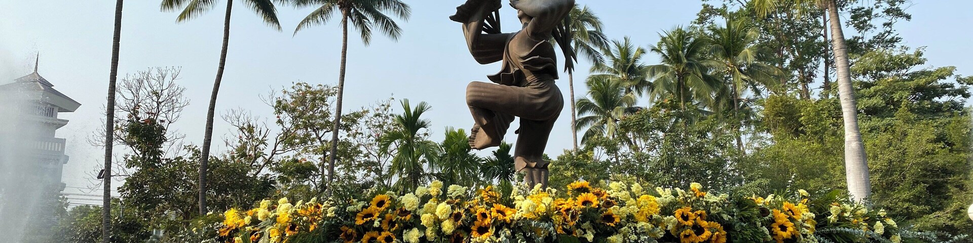 Great place to see in the morning