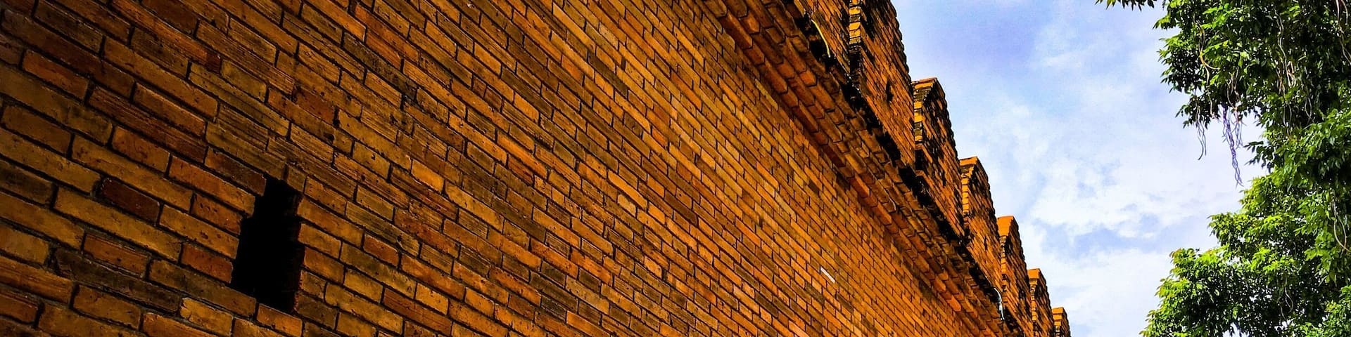 A long brick wall with evenly spaced windows and a tree to the right.