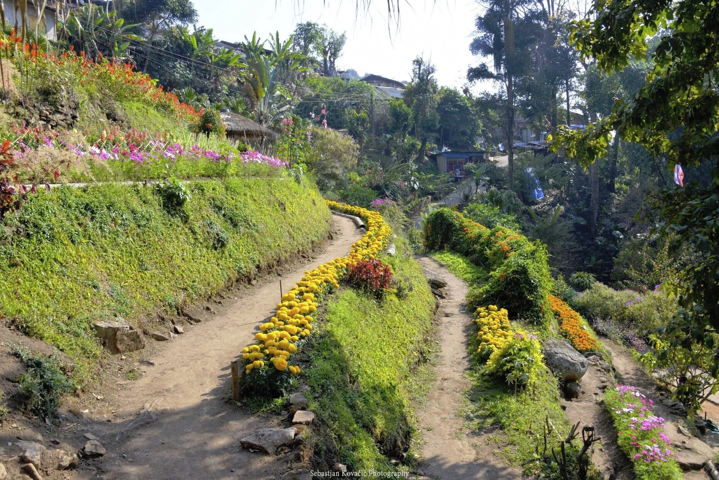 #Hmong #Village #DoiSuthep #ChiangMai

#Thailand #Backpacking #TravelPhotography 


See you also on Instagram: ExploreWithSeba 