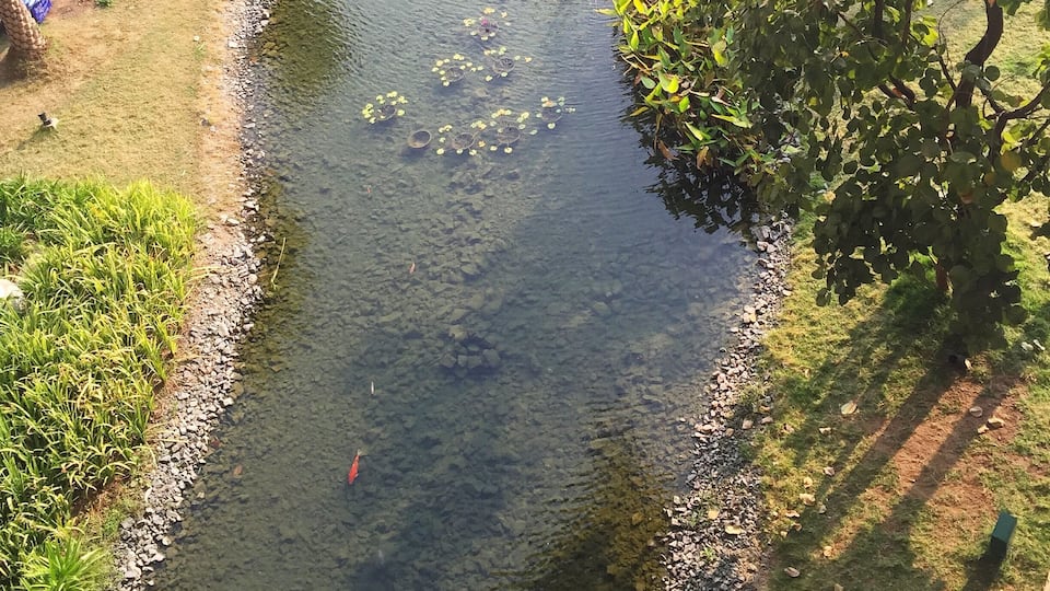 We go to malls for kids activities for our 6 year old. This one had a great grocery store ( that includes an oyster bar) and beautiful gardens. Now get this: they have a huge playroom where you can drop off your kiddo for three hours. Next to it is a movie theater, and downstairs that oyster bar. You thinking what I'm thinking? Spontaneous date night. #chiangmai