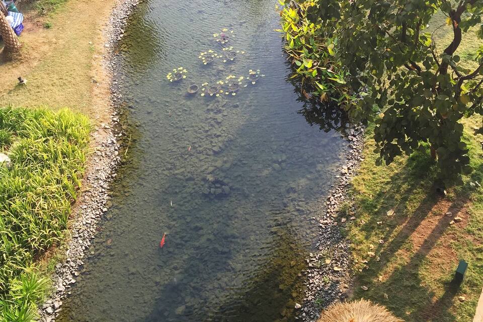 A clear river with rocks, a small boat, and a tree on the right.