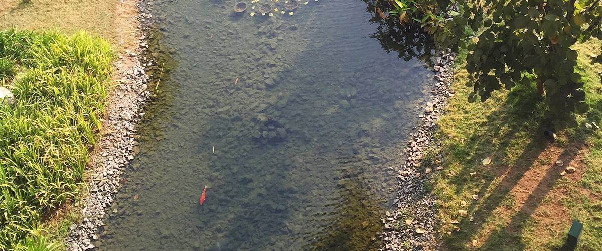 A clear river with rocks, a small boat, and a tree on the right.