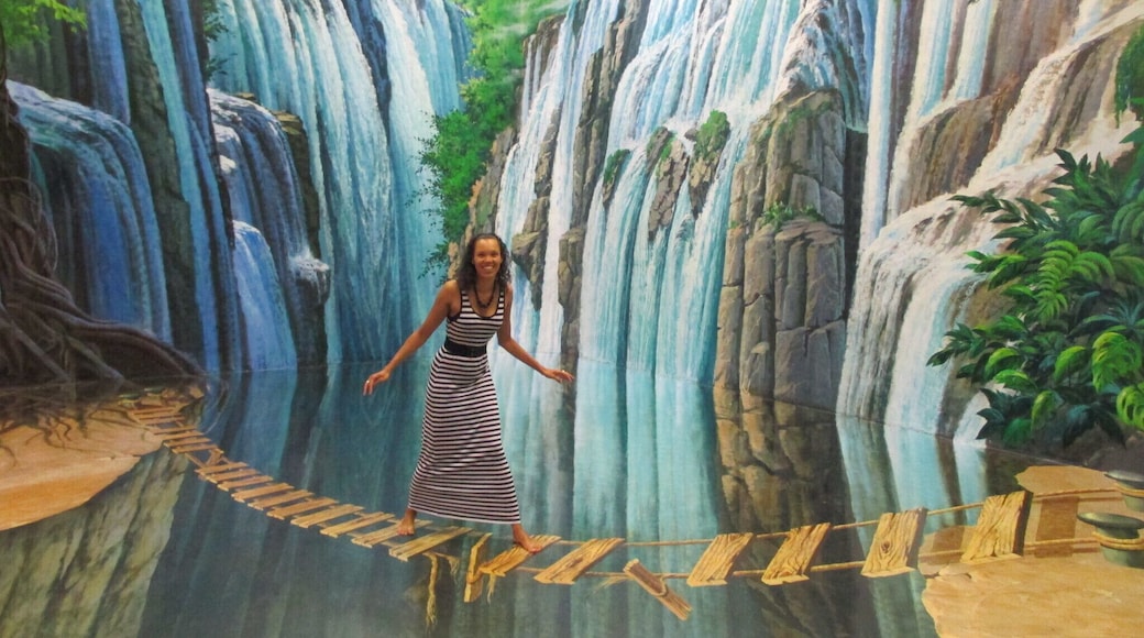 Art in Paradise is an amazing interactive 3D museum in Chiang Mai.
The range of displays are fantastic and even though I thought it was going to be good, it surpassed my expectations.
At 300 baht it is a little expensive, if you live here, but not if you are a tourist and it is worth every penny! Go!
http://endless-explorer.com/art-in-paradise-chiang-mai-a-photo-review/