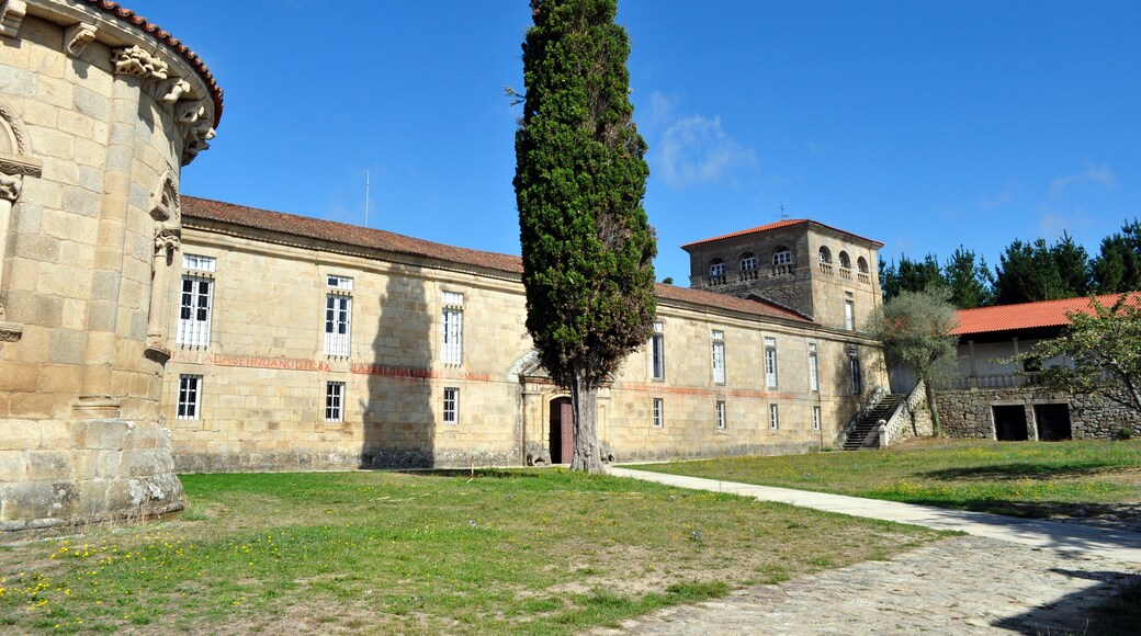 Ciprés del Monasterio