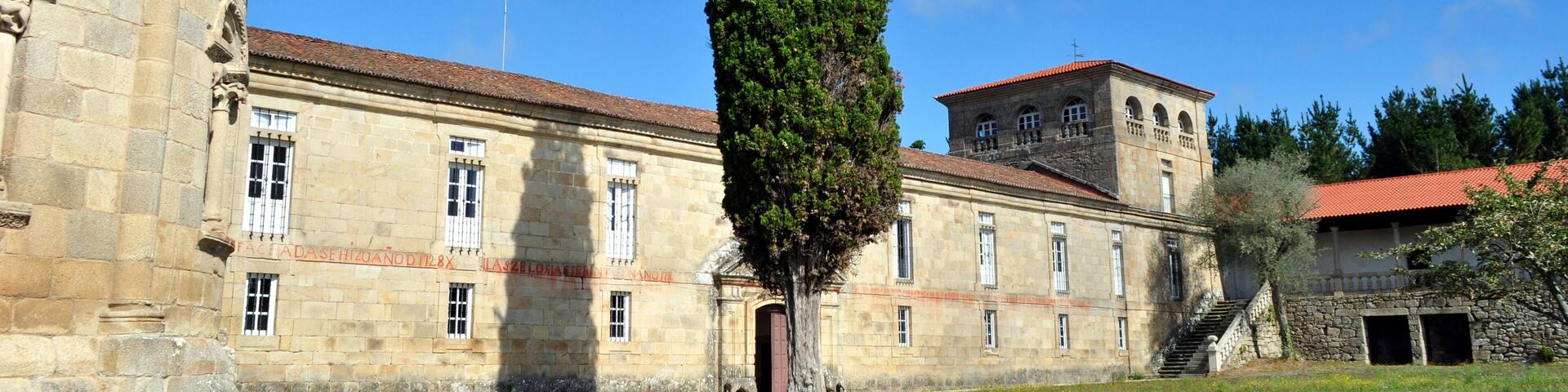 Ciprés del Monasterio