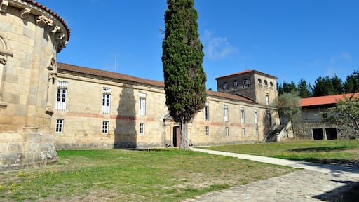 Ciprés del Monasterio