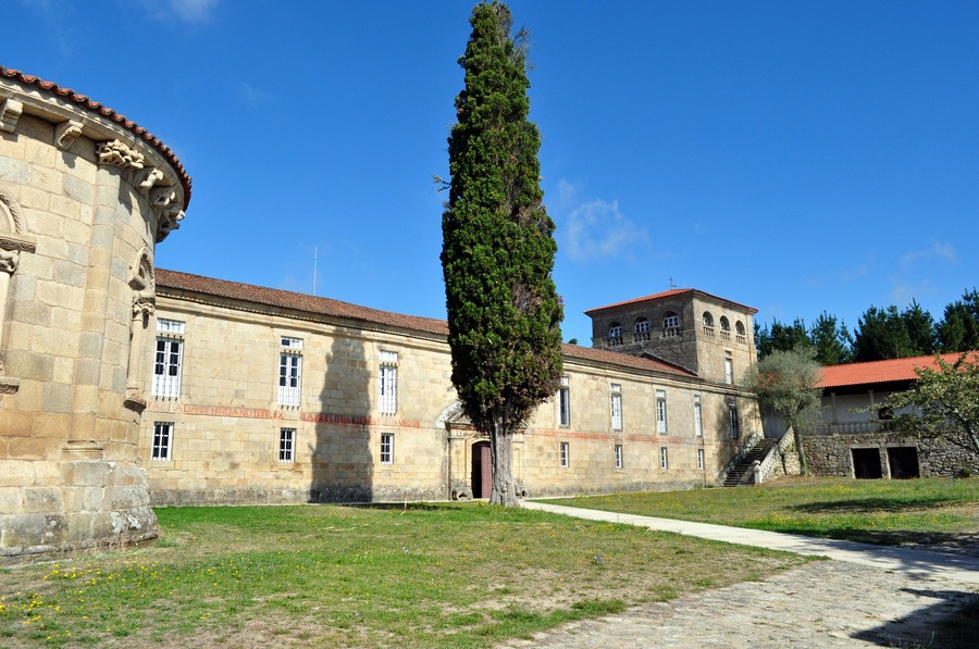 Ciprés del Monasterio