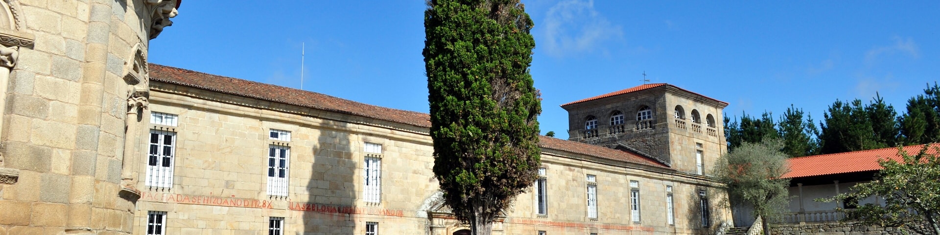 Ciprés del Monasterio