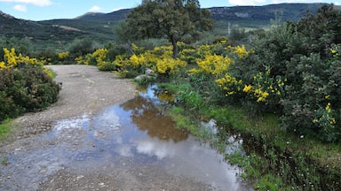 This is a photography of a Site of Community Importance in Spain with the ID: