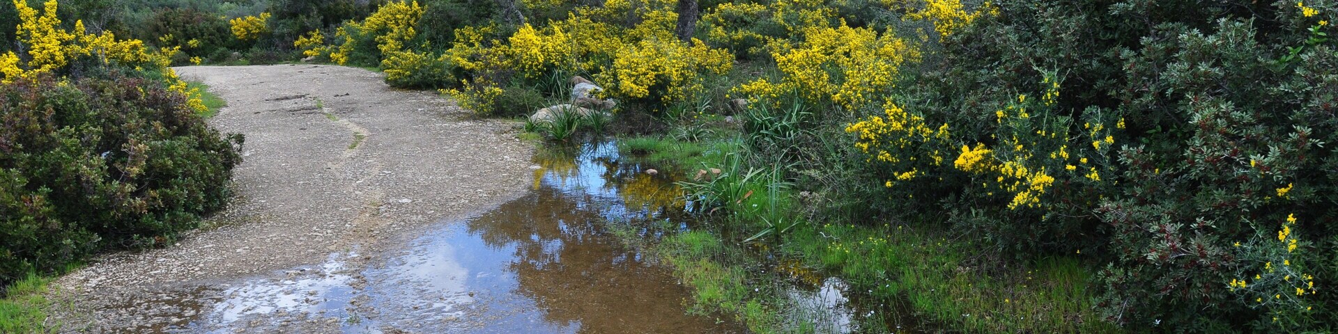 This is a photography of a Site of Community Importance in Spain with the ID: