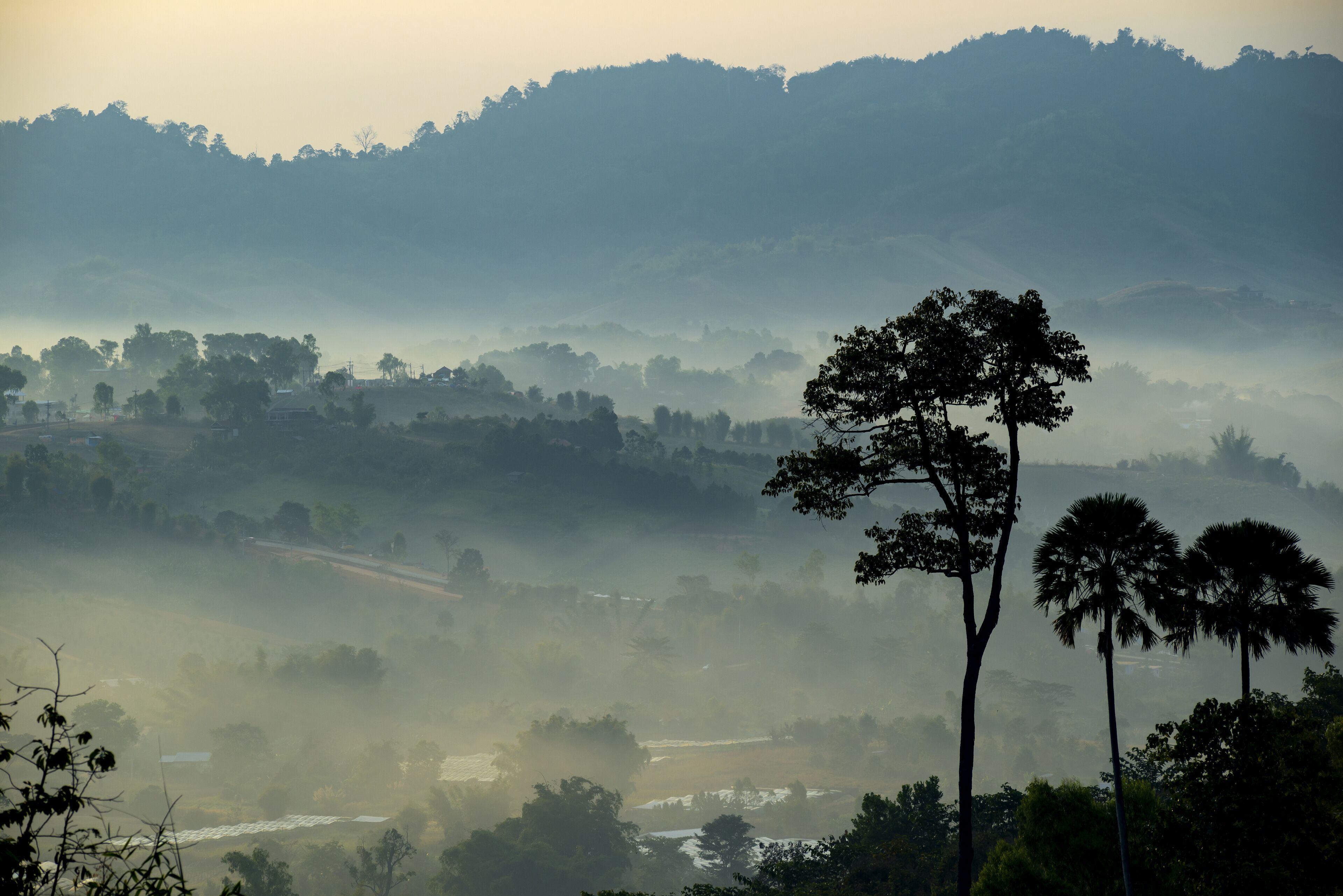 Beautiful landscape of mountain misty morning sunrise is the travel destination and famous place at Khao Kho district, Phetchabun province, Thailand. Relaxation with the natural