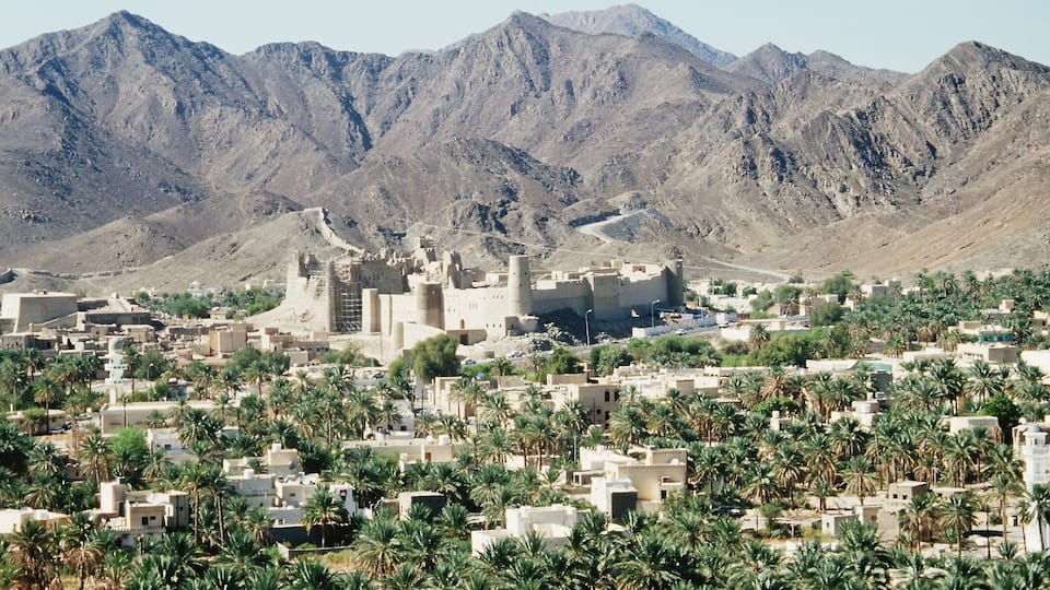 A desert town with palm trees and a castle-like structure surrounded by mountains.