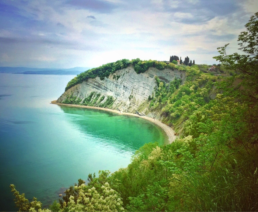 Slovenia's coastline is extremely short but it sure is pretty. It's funny how almost anywhere you turn in Slovenia there is emerald-colored water in some shape or form; if it is not the ocean it's a splashing waterfall, a serene lake or a wild river. It's awesome! #europe #slovenia #strunjancliff #green