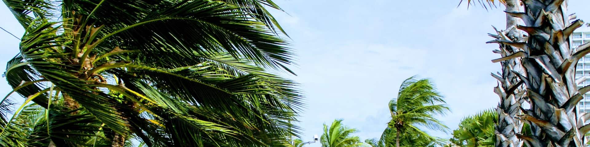 Jomtien beach has the cleanest shore in Pattaya and just few steps away from the major hotels. On stormy days make it late, so that the beach is cleaned from sea plants.
#LifeatExpedia