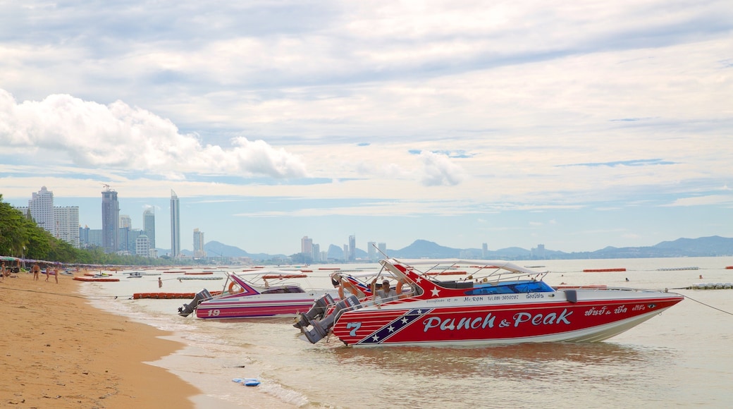 ์ขํฐ์ ๋น์น ์ ํน์ง ํด๋ณ ๊ณผ ๋ณดํธ ํ๊ธฐ