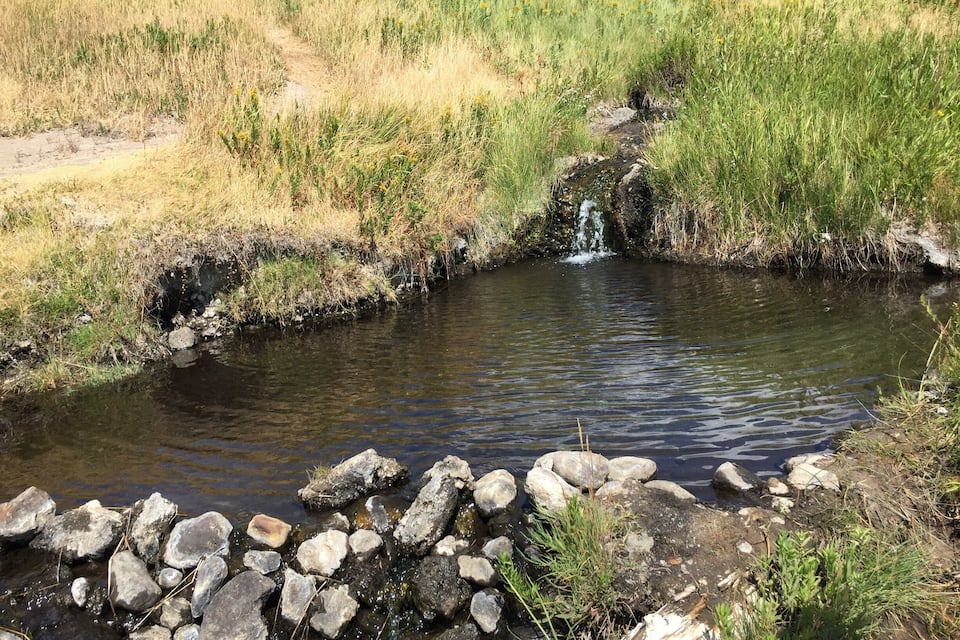 A small stream with rocks and grass.
