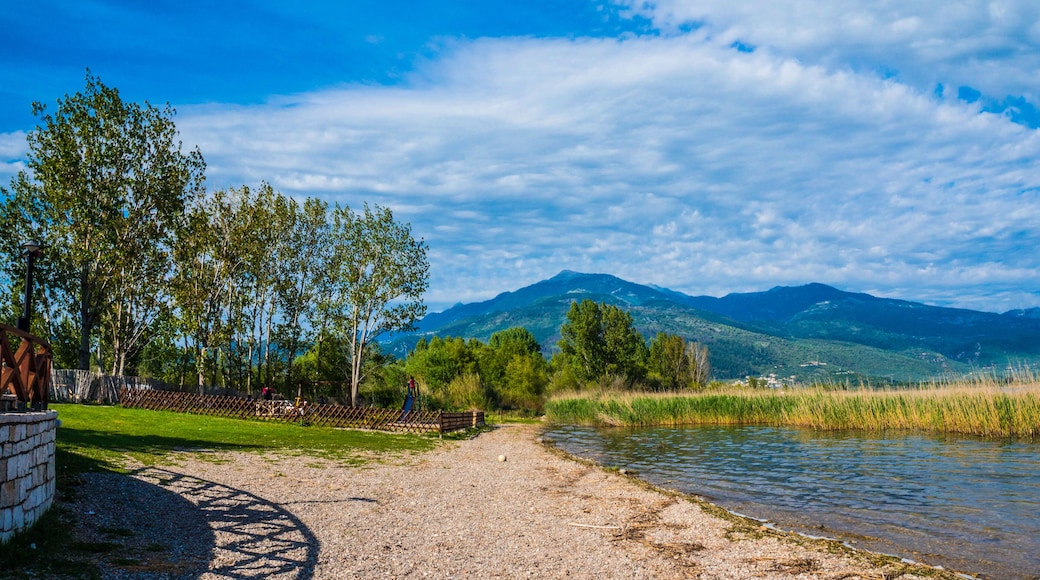 Trichonida lake, the largest natural lake in Greece. It is situated in the eastern part of Aetolia-Acarnania, southeast of the city of Agrinio and northwest of Nafpaktos.