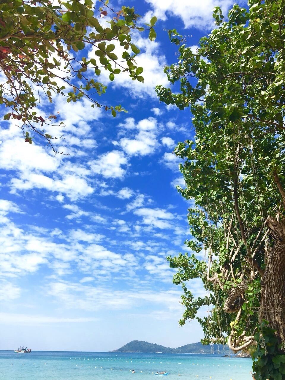 The place tht offers you these luxuriously scenic views,, I would never wanna get home from here but alas! I had to,  
#green #thailand #trover 