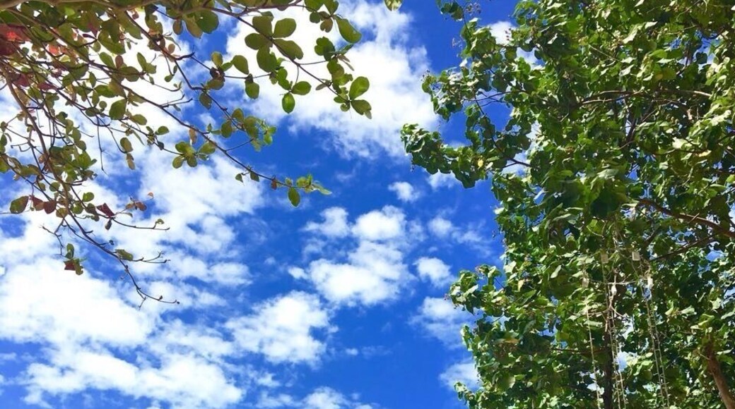 The place tht offers you these luxuriously scenic views,, I would never wanna get home from here but alas! I had to,
#green #thailand #trover