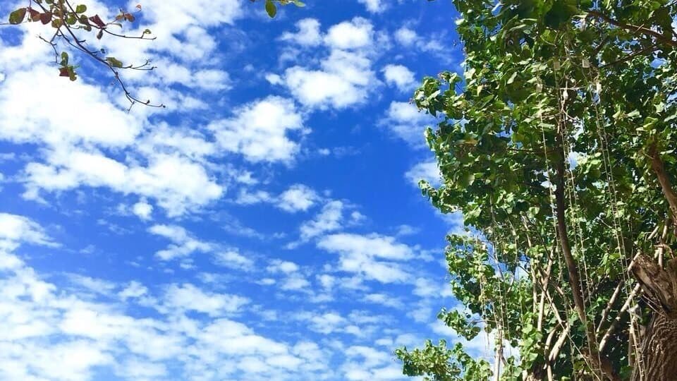 The place tht offers you these luxuriously scenic views,, I would never wanna get home from here but alas! I had to,
#green #thailand #trover