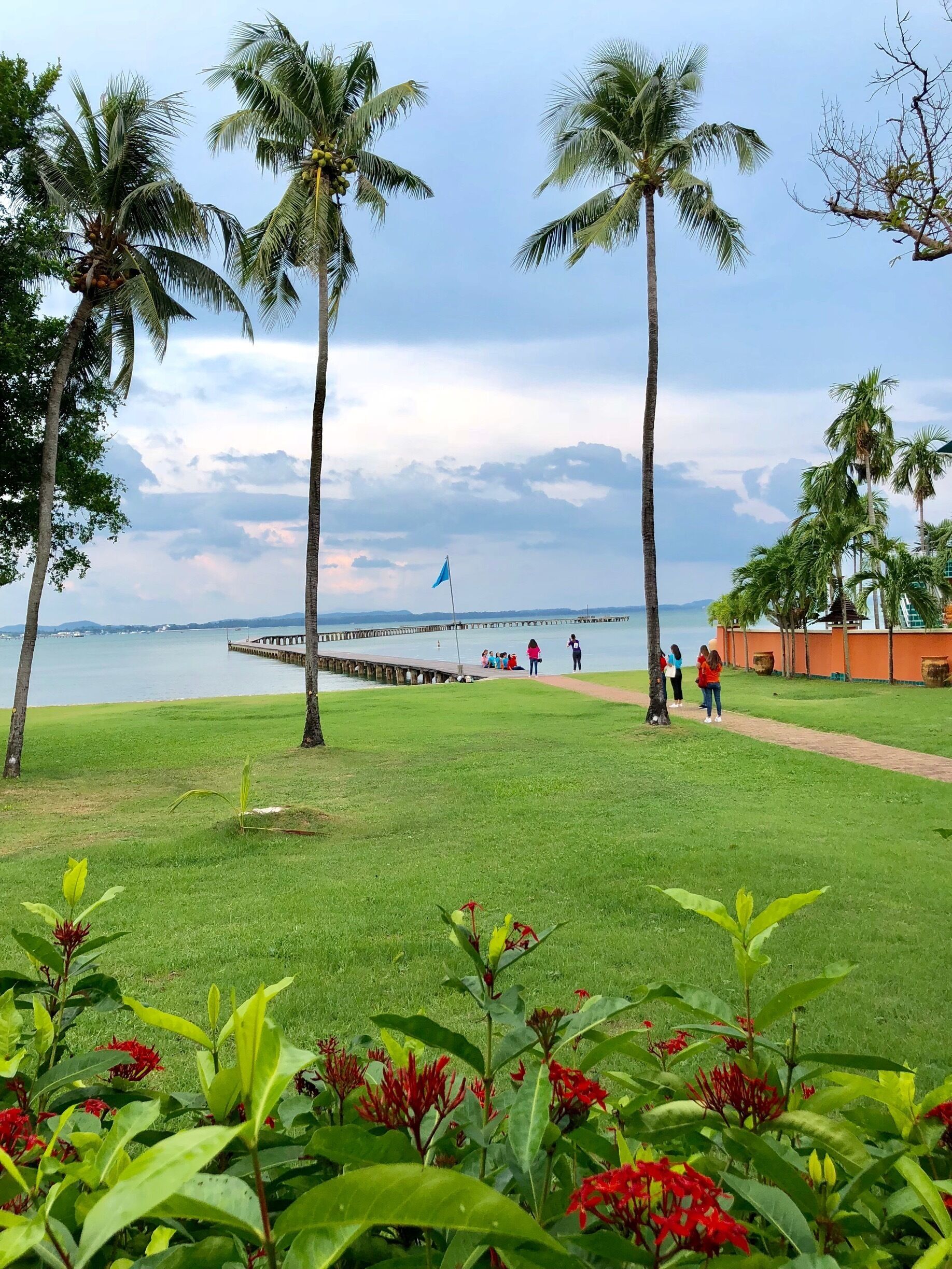 Parque costero con palmeras, muelle y una bandera azul.