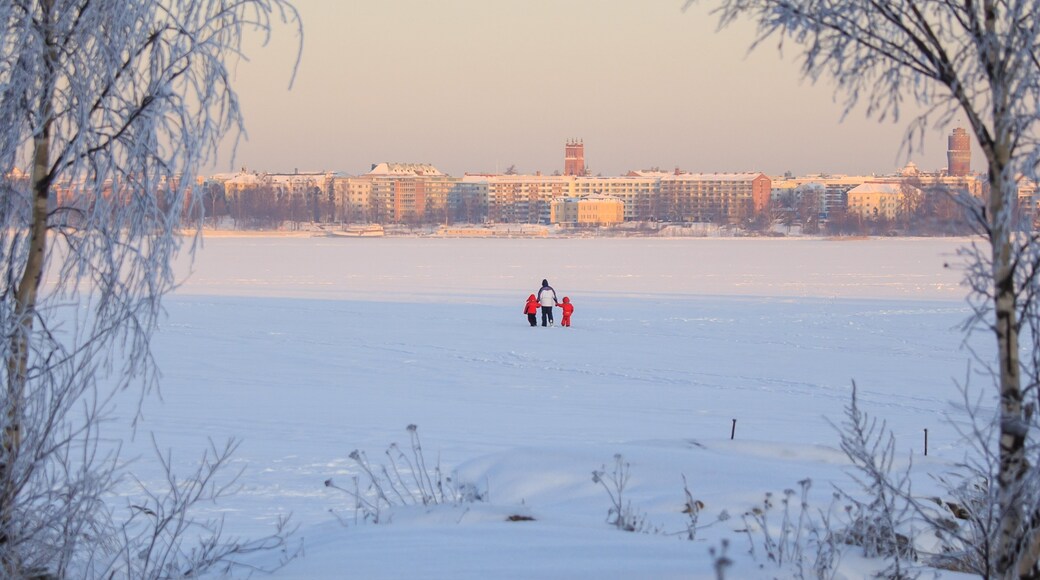 Vaasa mostrando nieve y una ciudad