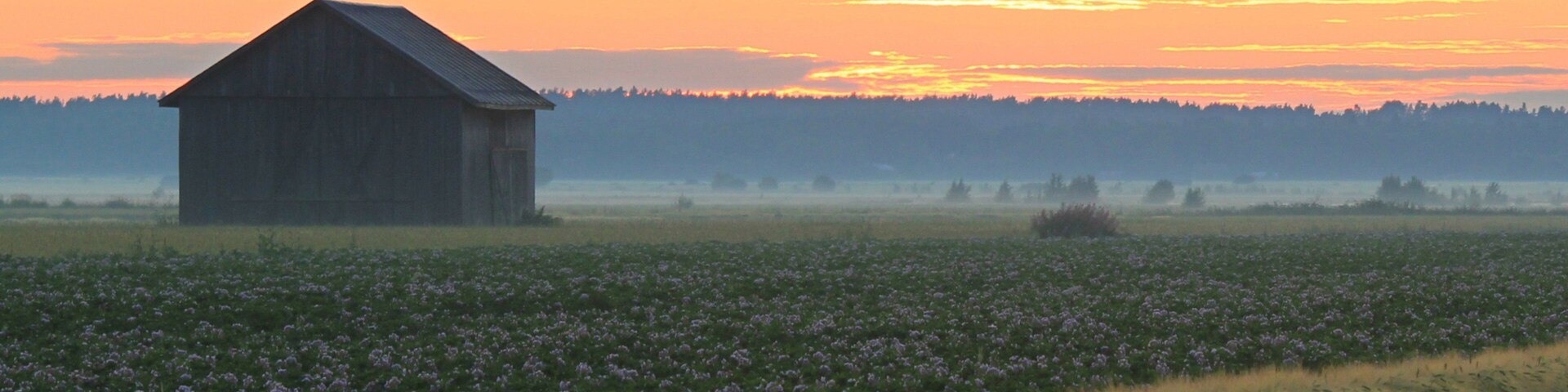 Vaasa featuring a house, tranquil scenes and a sunset