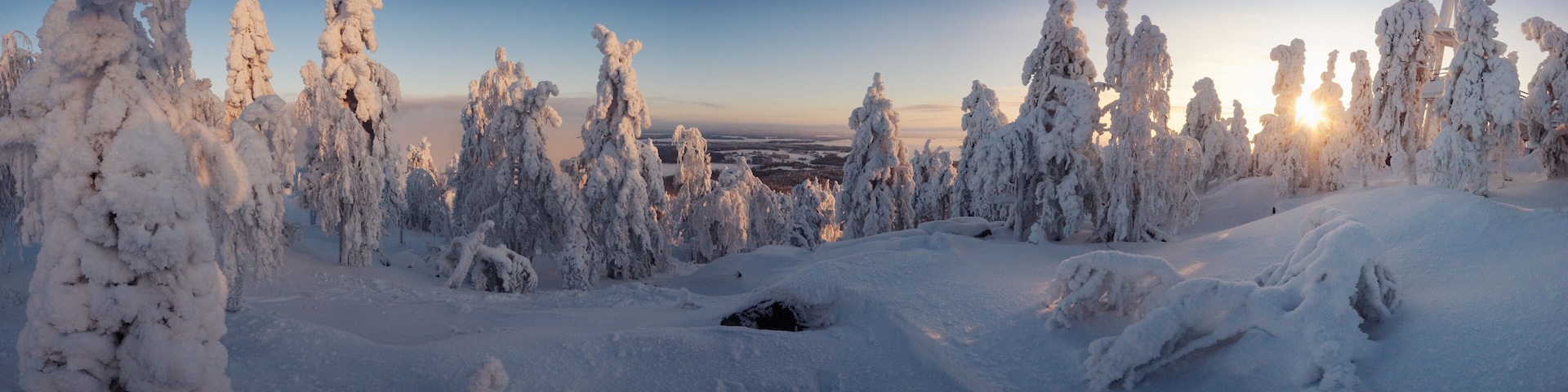 A snowy landscape with tall, snow-covered trees and a distant view of a city.