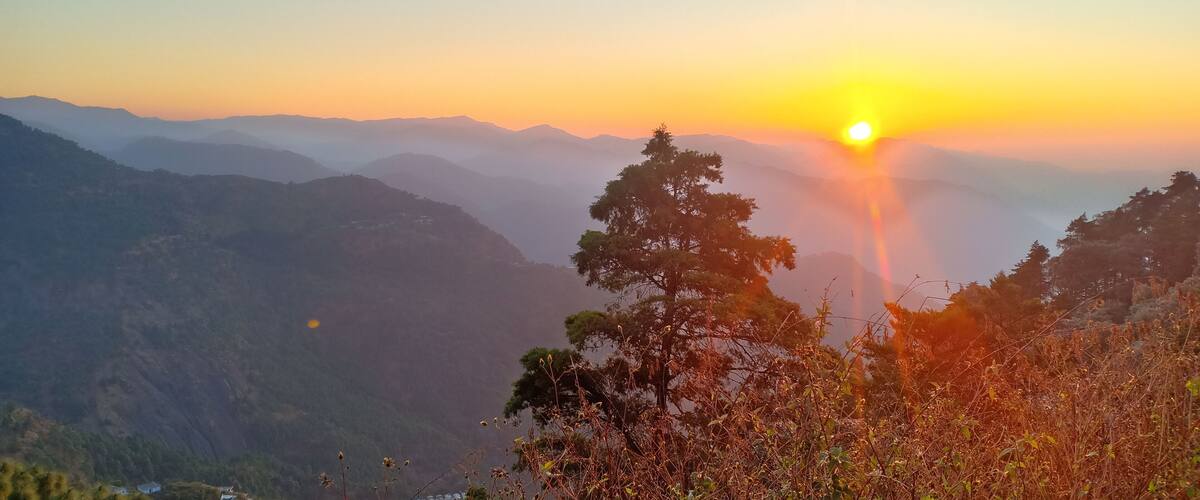 A mountain landscape with a sunrise, featuring rolling hills and a prominent tree in the foreground.