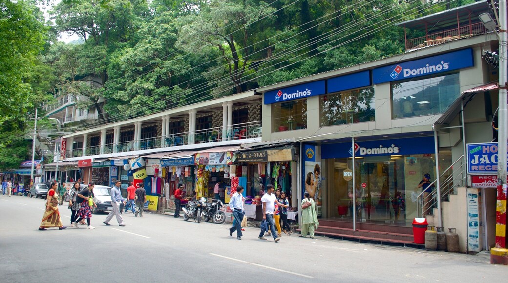 Nainital showing street scenes