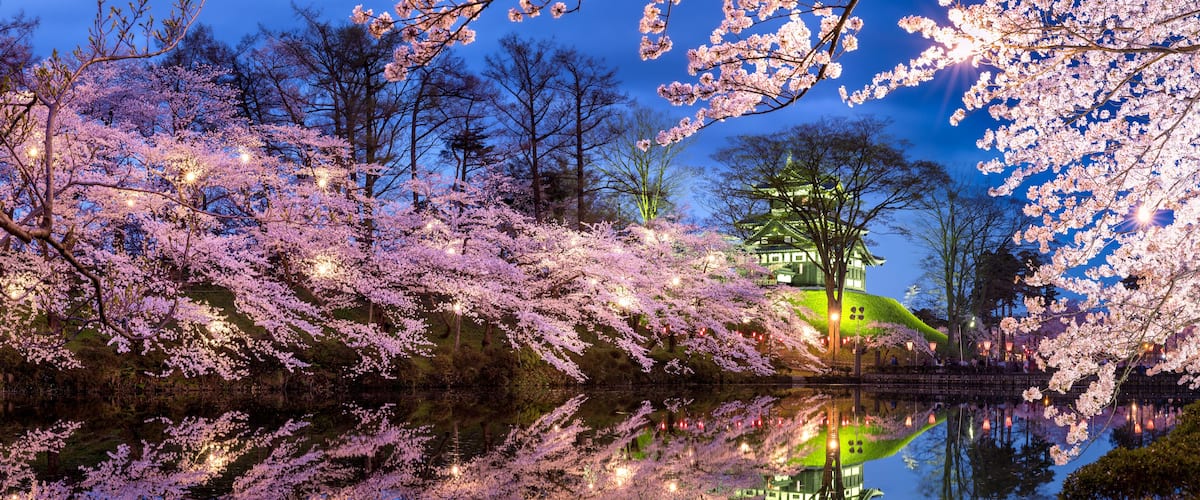 A serene landscape with cherry blossoms reflecting on a calm body of water, a traditional Japanese pagoda, and a hill with a small shrine.