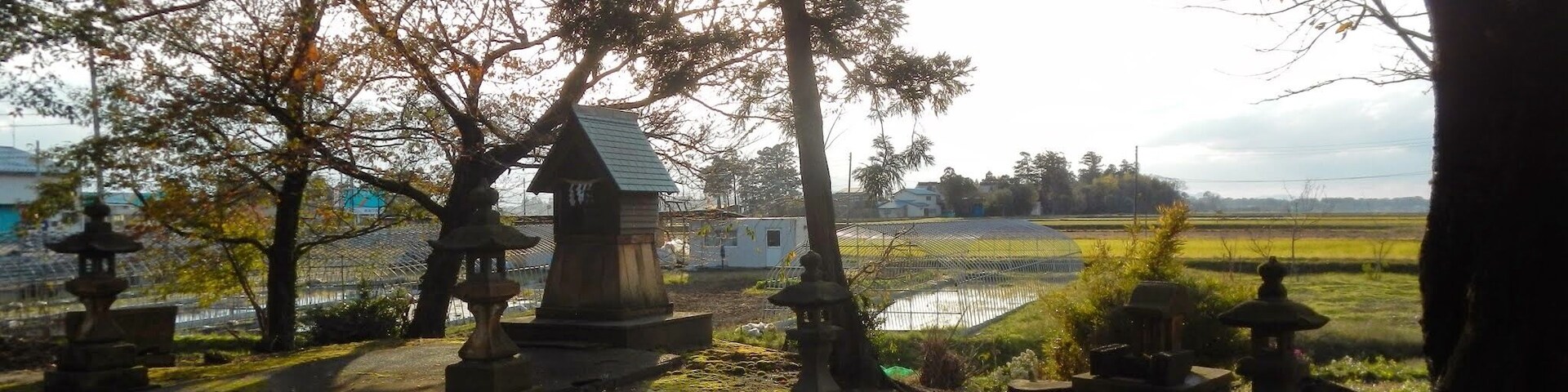 A cemetery with stone lanterns and a small shrine, surrounded by trees and a field.