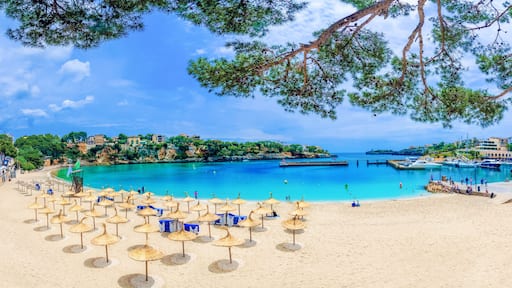 Ein Strand mit Sonnenschirmen, klarem, blauem Wasser und Booten.