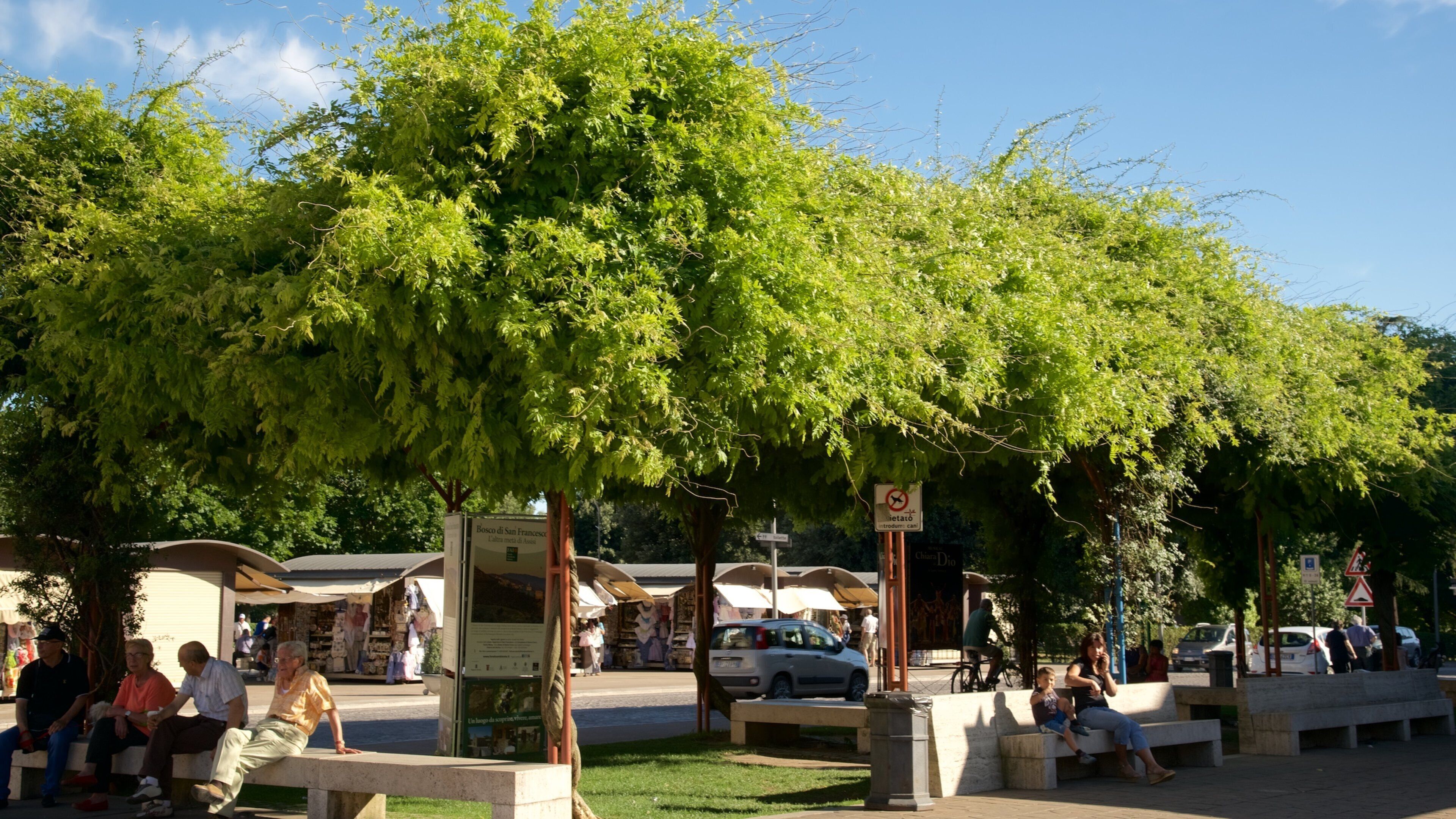Santa Maria degli Angeli which includes a park