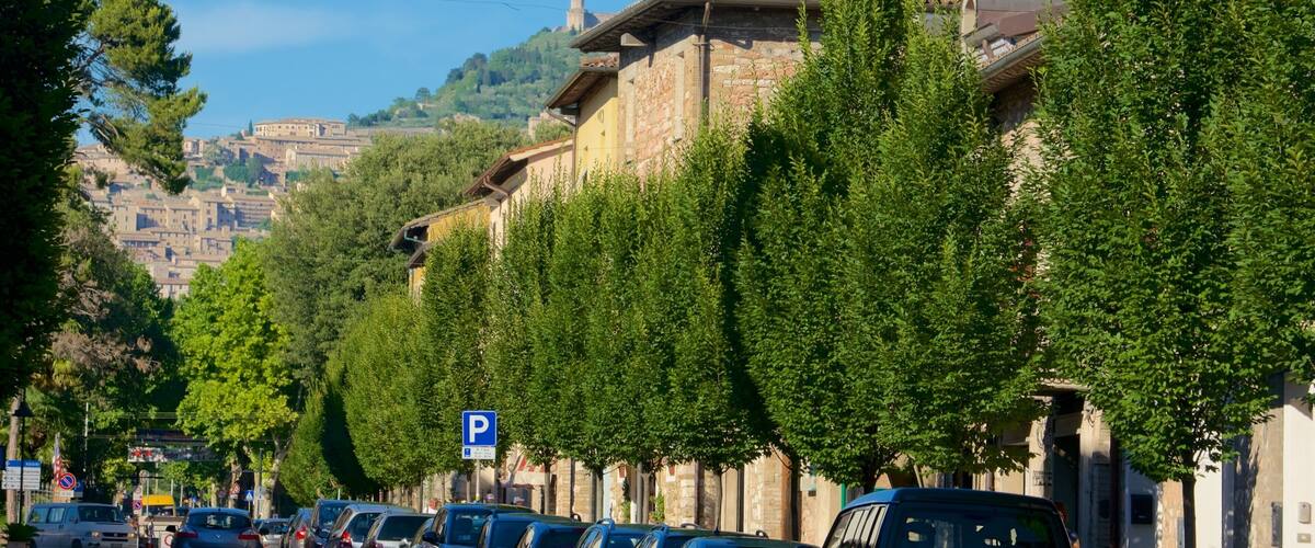 A street lined with parked cars and trees, with historic buildings and a hill in the background.