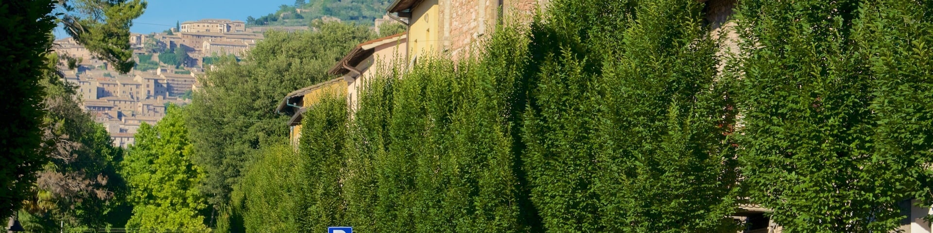 A street lined with parked cars and trees, with historic buildings and a hill in the background.